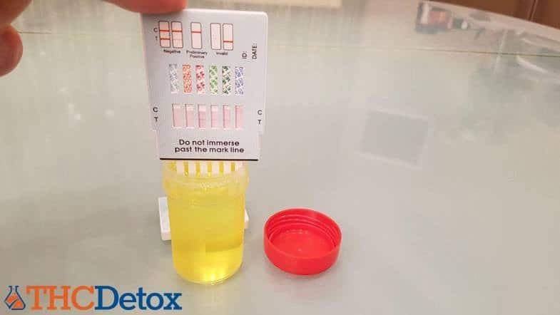 testing urine